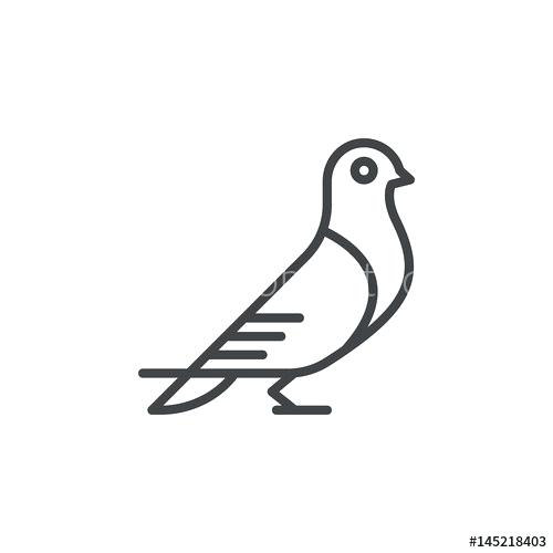 500x500 Outline Of A Dove Bird Dove Outline Free Clip Art