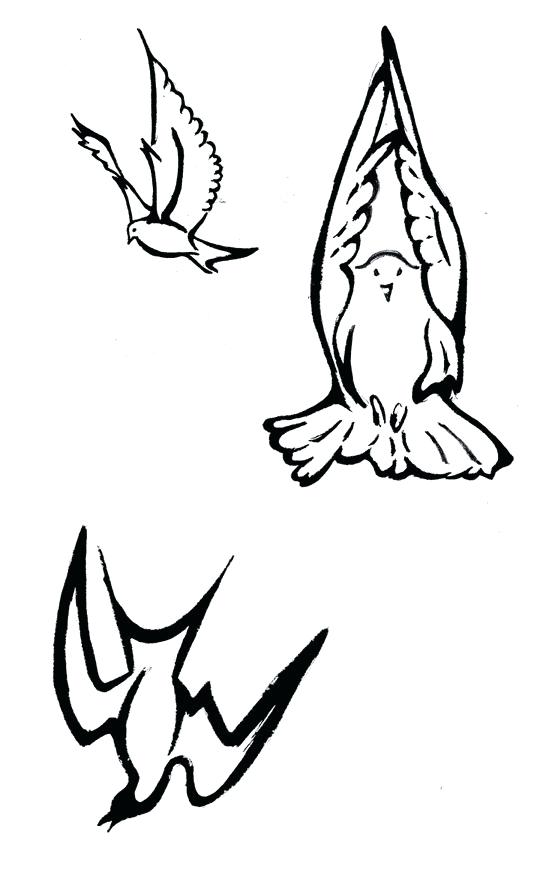 537x878 outline of a dove dove tattoo flash dove outline clipart