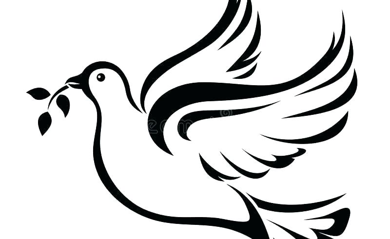 800x491 Outline Of A Dove