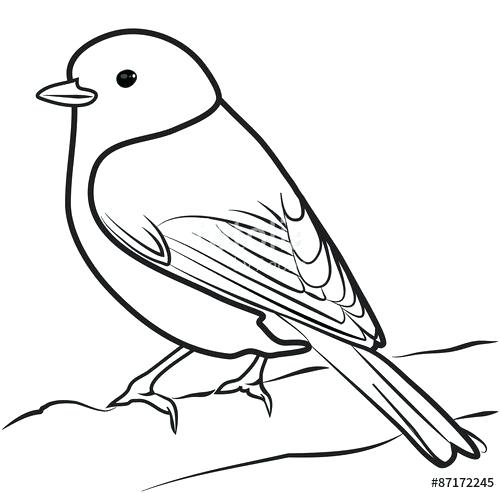 500x493 Bird Drawing Outline Medium Size Of Bird Drawing Outline Dove Line