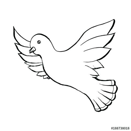 500x500 Dove Outline Drawing Dove Flying Bird In Sketch Style Outline