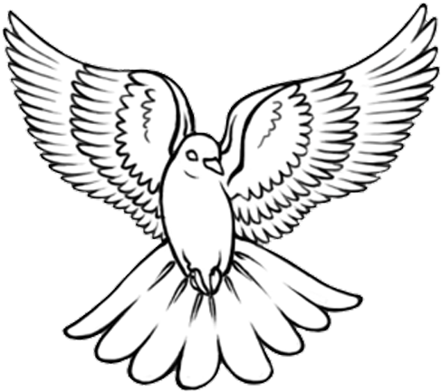 487x433 Download Black Outline Flying Dove Tattoo Design