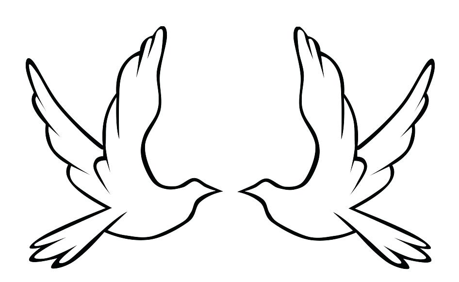 946x581 How To Draw A Dove Flying Step
