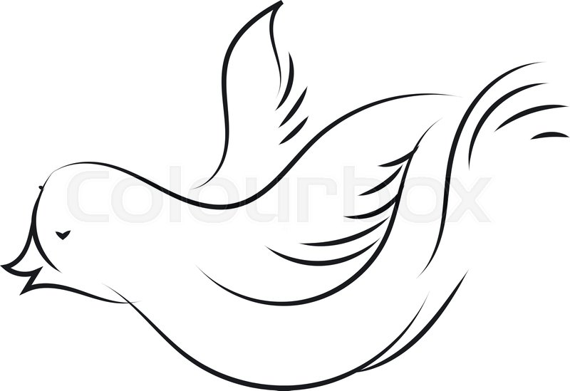 800x549 Sketch Of White Dove Illustration Stock Vector Colourbox