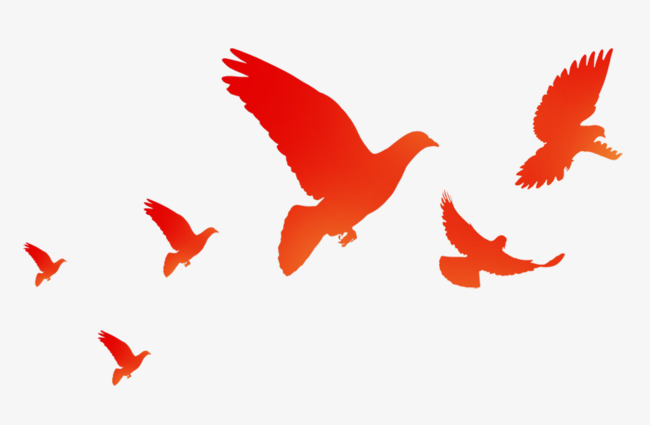 650x425 Dove Of Peace, Cartoon Hand Drawing, Remember History, Dove Png