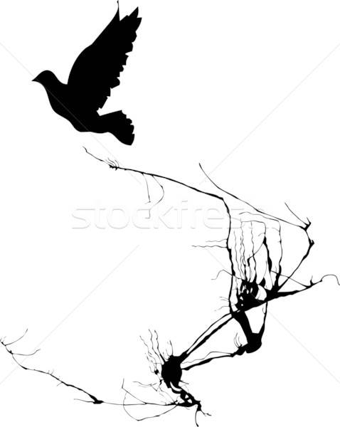 478x600 Dove In Flight Vector Illustration Jeffrey Thompson