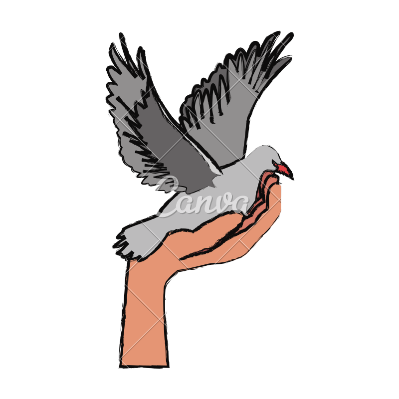 800x800 Hand Holding Dove Flying International Day Of Peace