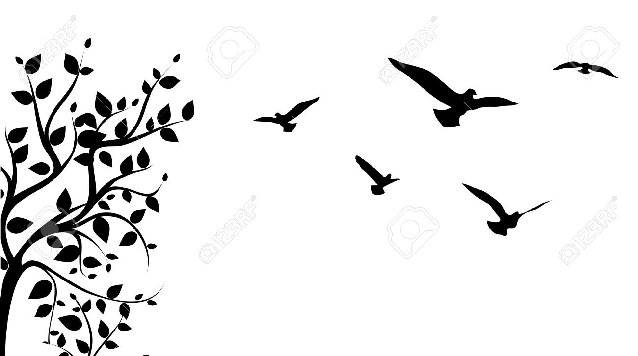 1300x726 Dove Drawing Shadow For Free Download