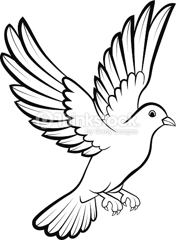 355x483 Drawn Dove Line