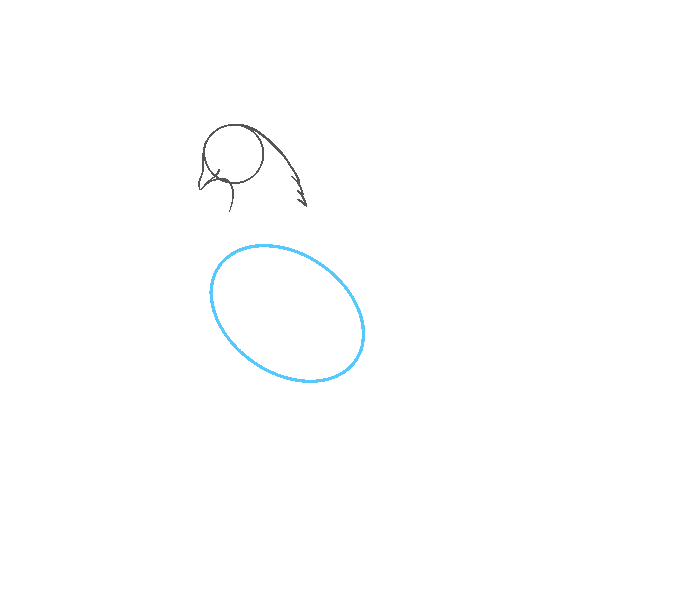 678x600 How To Draw A Dove In A Few Easy Steps Easy Drawing Guides