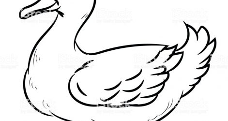 471x250 Bird Line Drawing Clip Art Free Black Dove Crane Face And Bath