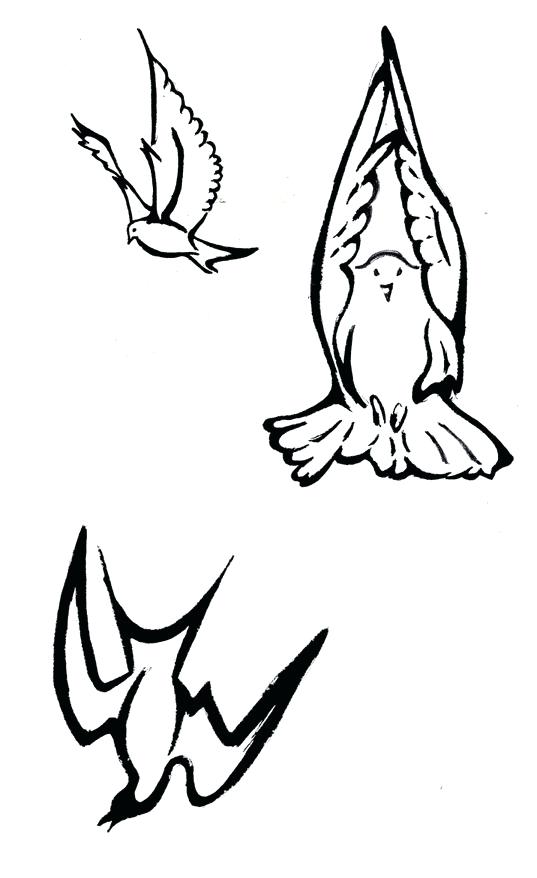 537x878 Dove Drawing Outline At Free For Personal Use Holy Spirit Images