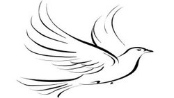 250x142 Dove Tattoo Design, Bindi Body Beautification Products Tattoo