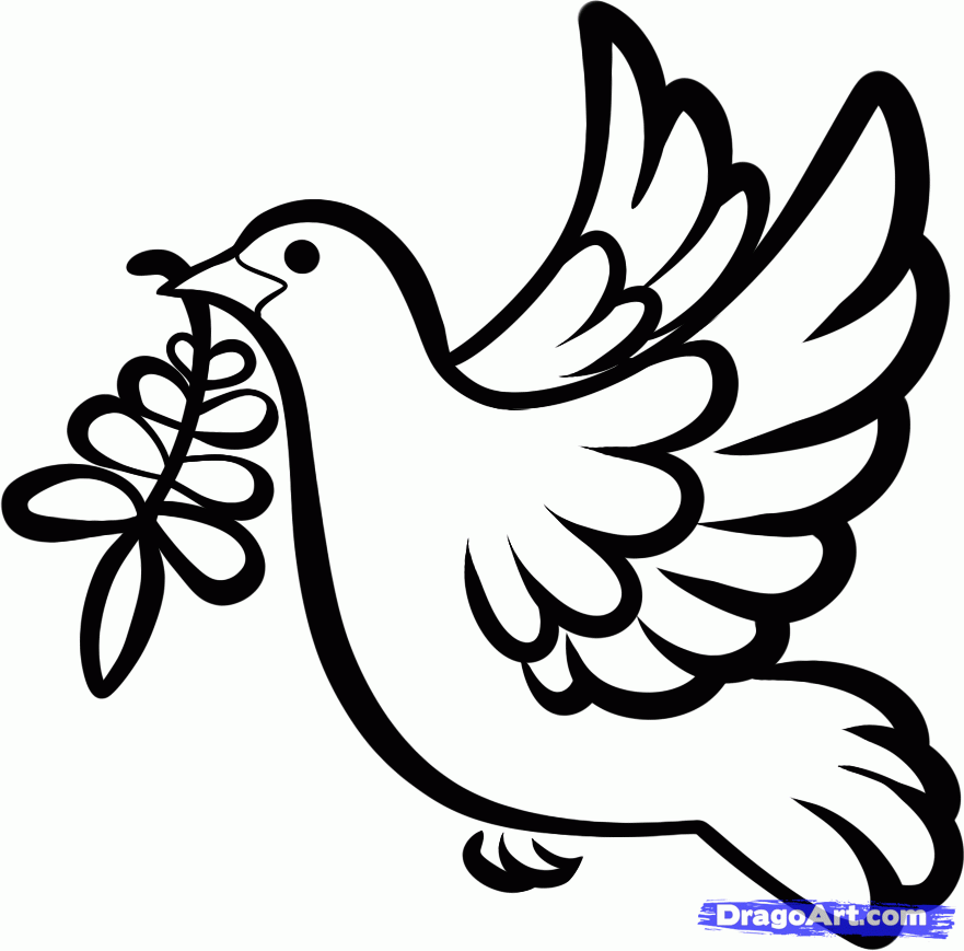881x869 Draw A Dove Tattoo, Step