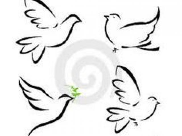 640x480 Drawn Dove Dove Tattoo