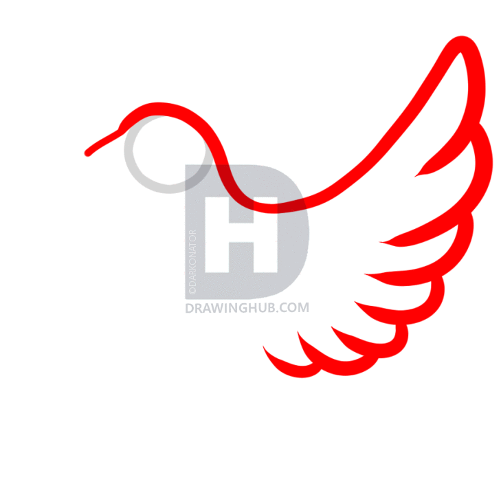 729x720 How To Draw A Dove Tattoo, Step