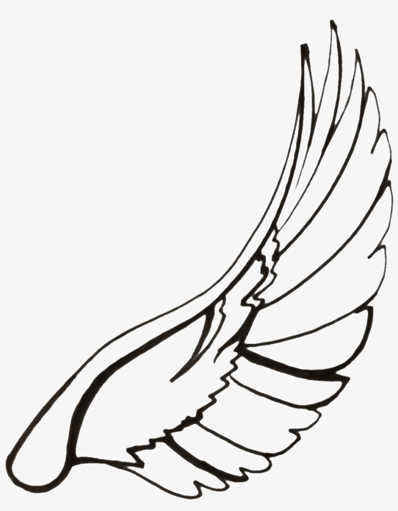 820x1051 Dove Wings At Getdrawings Com Free
