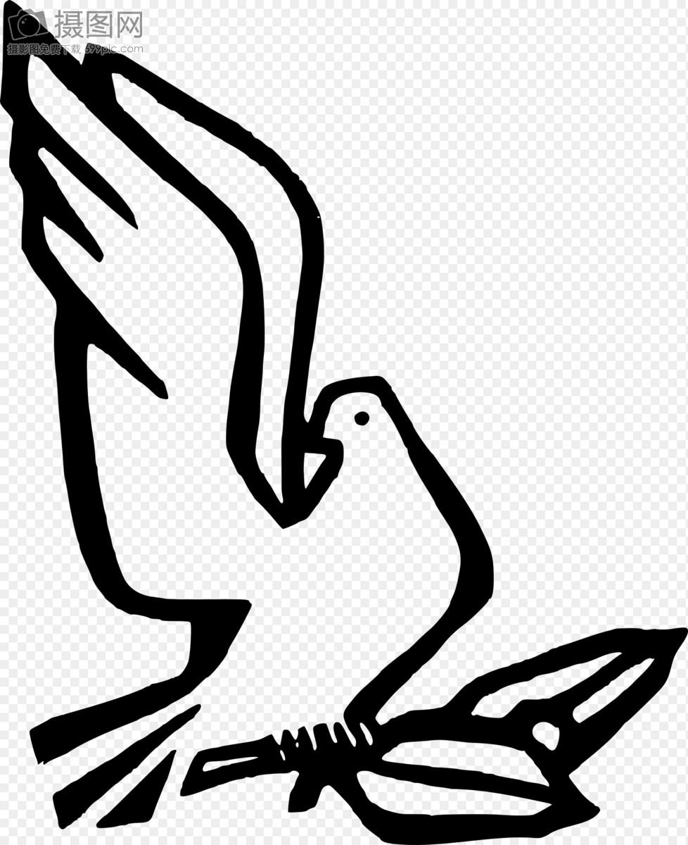 978x1200 Dove Flying With Wings Graphics Image Picture Free Download