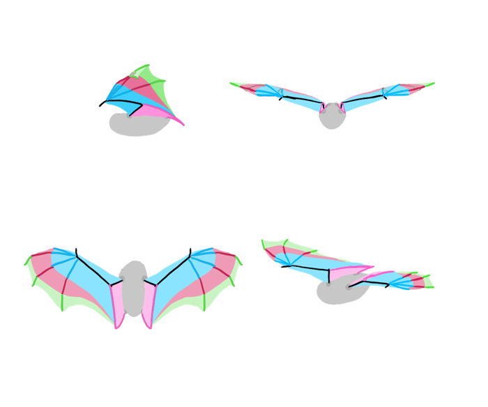 700x584 How To Draw And Animate Wings Birds, Bats, And More
