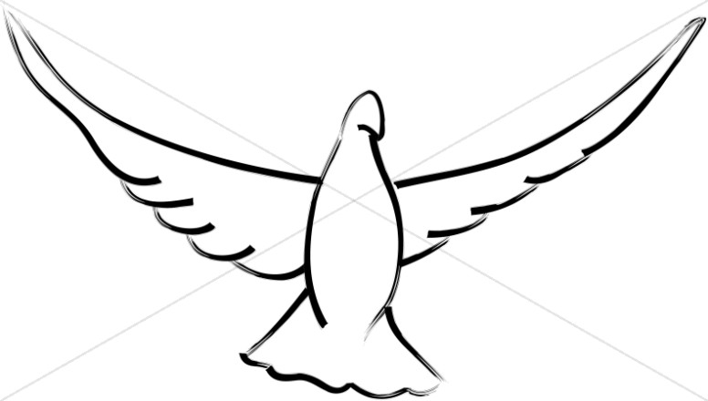 776x440 Open Wings Dove Dove Clipart
