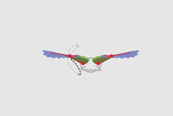 584x392 Taking Flight A Beginner's Guide Into Drawing Wings