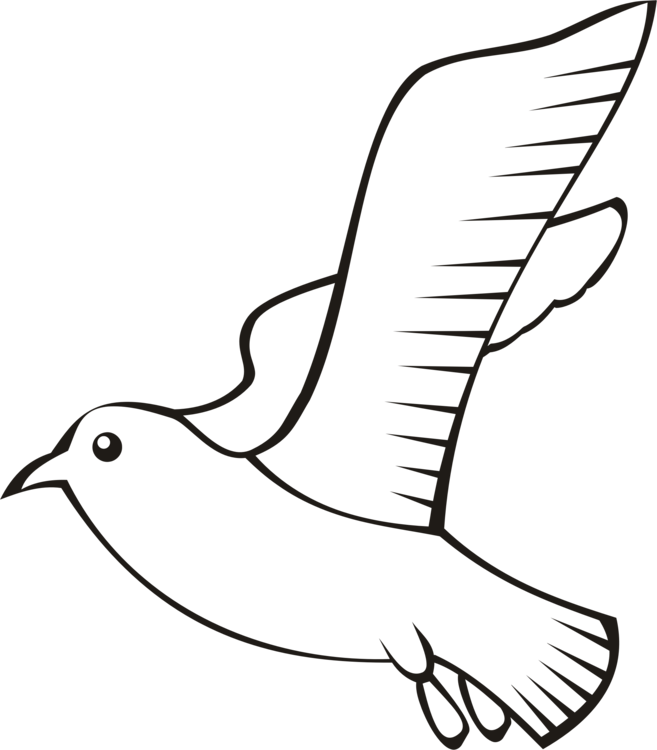 657x750 wing bird wing transparent png clipart free download