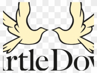 320x240 Brds Clipart Dove