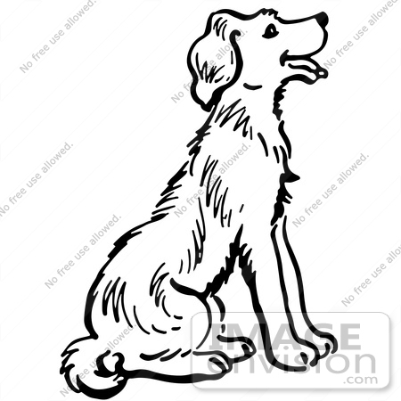 450x450 Huge Collection Of 'dog Sitting Down Drawing' Download More Than
