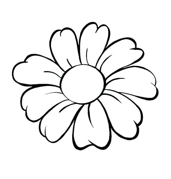 564x589 Flower Drawing Clipart Best Flower Drawings Ideas Rose Flower