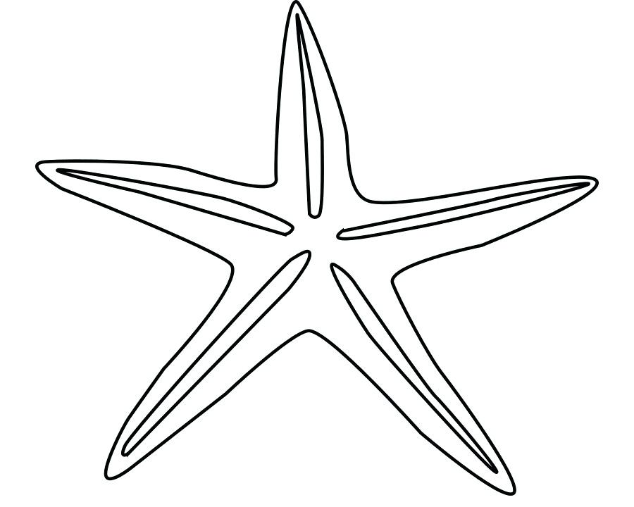 900x720 Starfish Drawing Starfish Drawing Cartoon Clip Art Cartoon