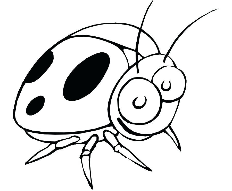 900x740 Ladybug Drawing