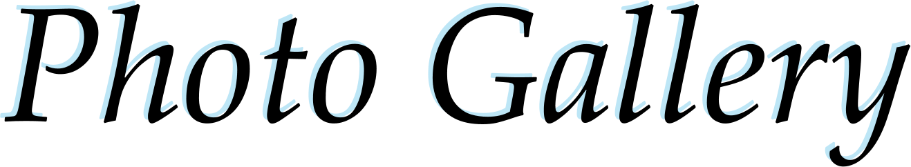 1318x242 Pepe's And Mito's Mexican Cafe