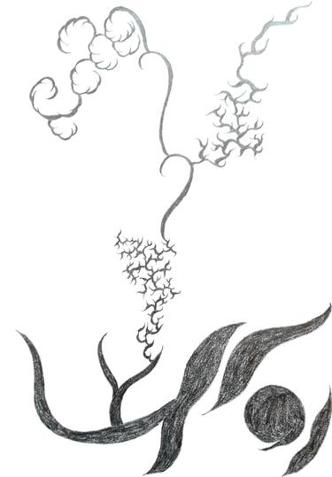 375x539 Bloom Drawing