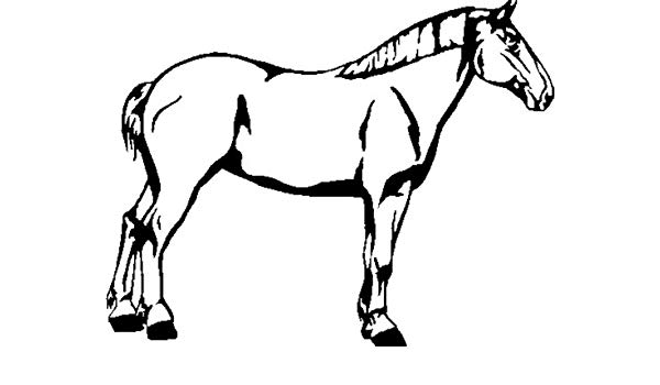 Draft Horse Drawing