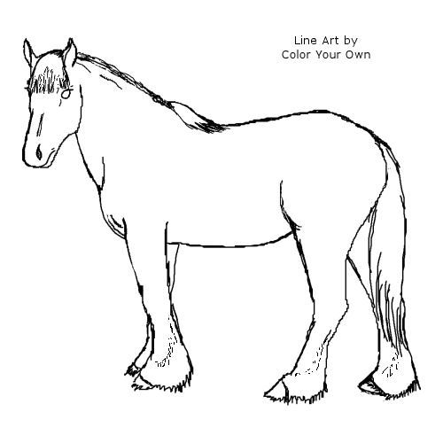 500x500 draft horse sketch