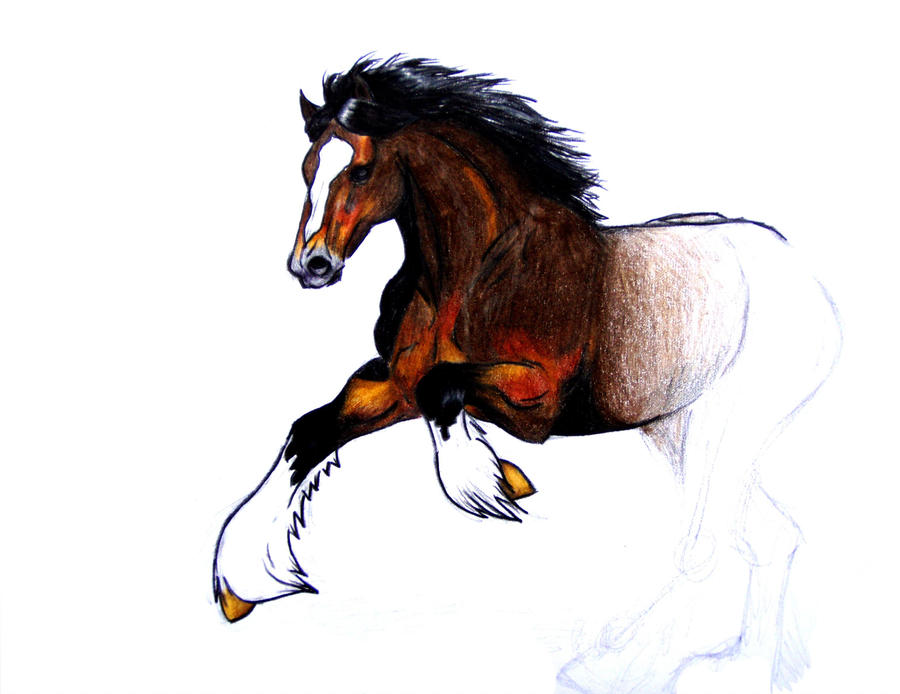 900x694 draft horse