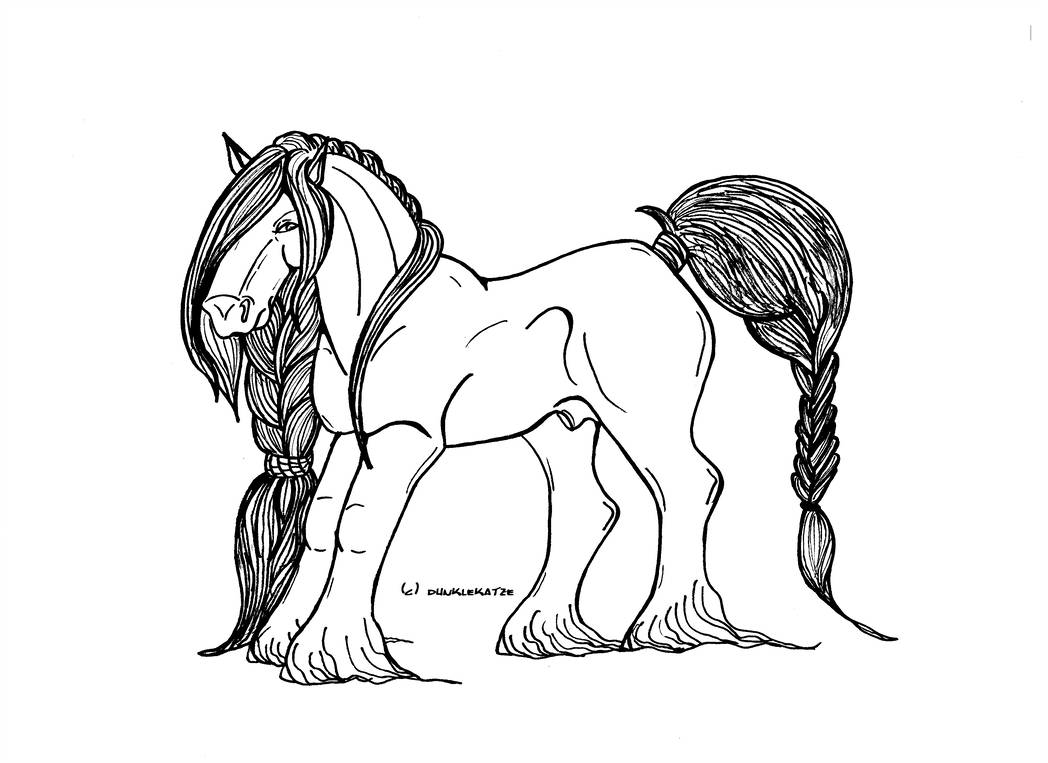 1048x763 free draft horse
