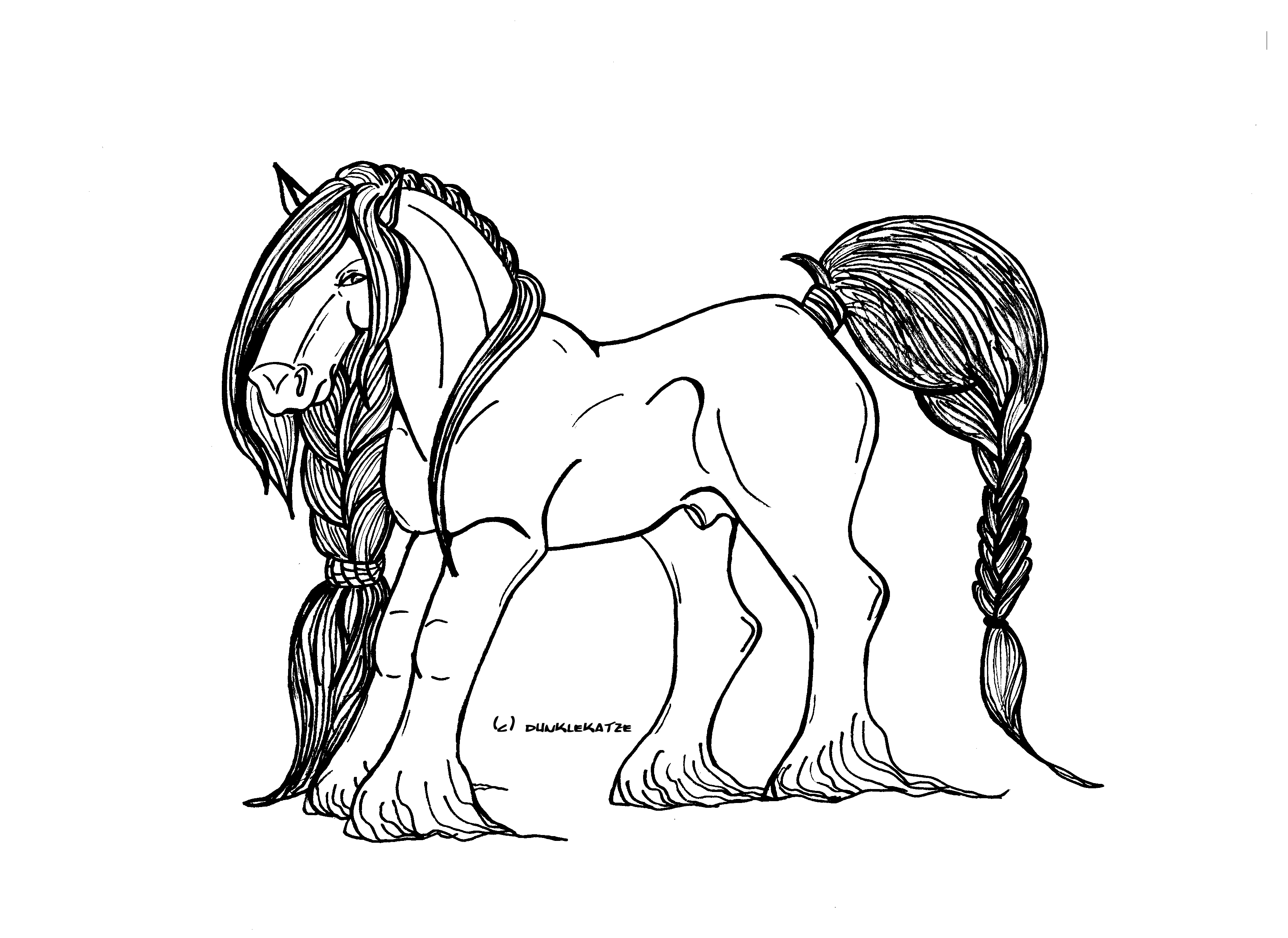 3501x2550 free draft horse