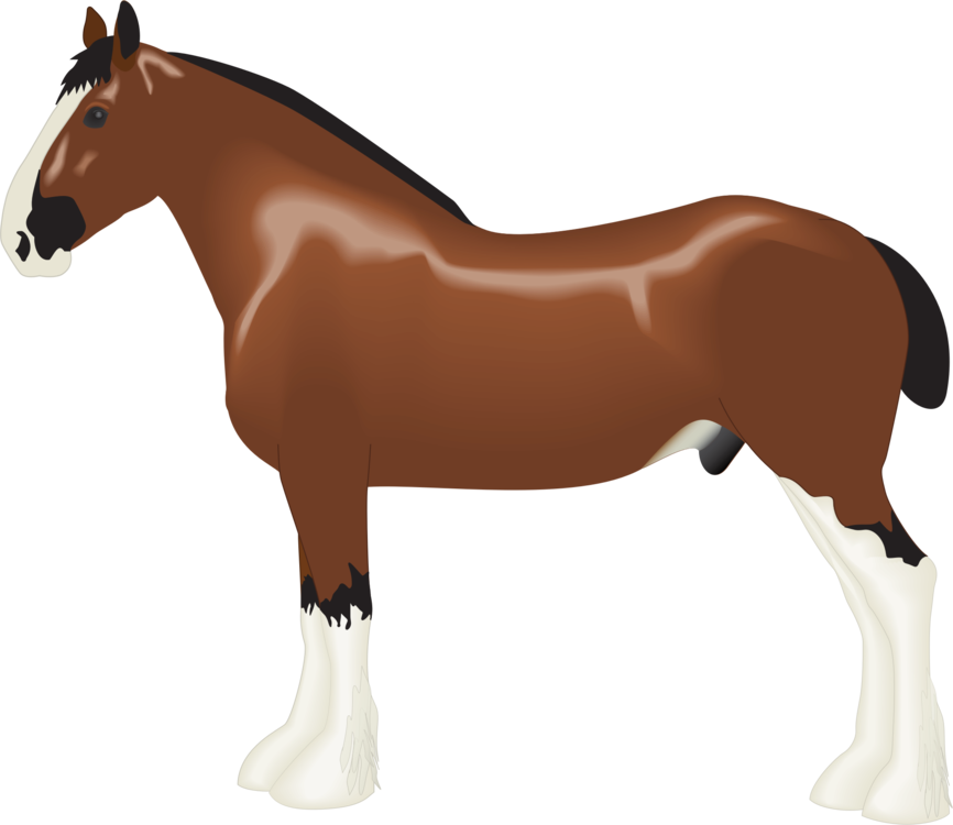 866x750 Huge Collection Of 'shire Horse Clipart' Download More Than