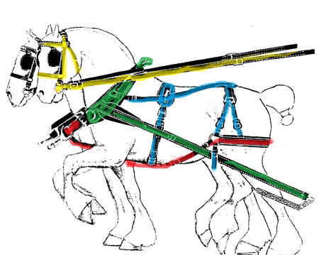 450x359 rural heritage harness variety and function