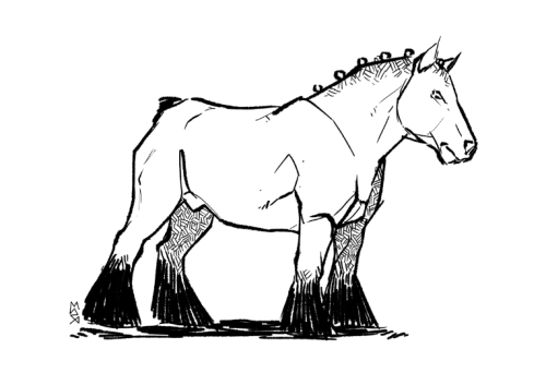 500x342 Belgian Draft Tumblr