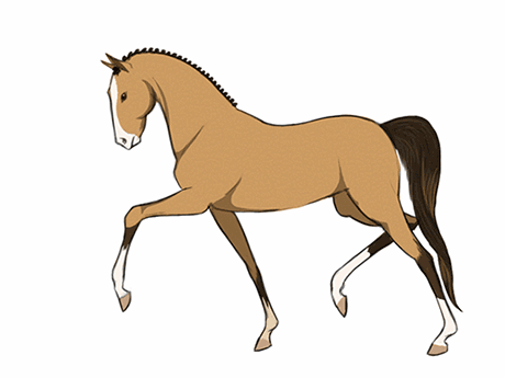 460x345 Beautiful Animated Horse Gifs