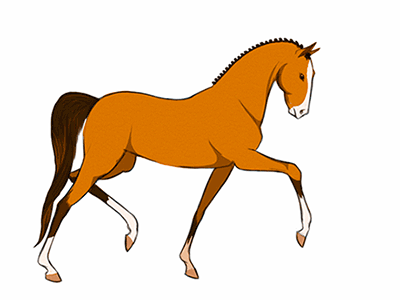 400x300 Beautiful Animated Horse Gifs