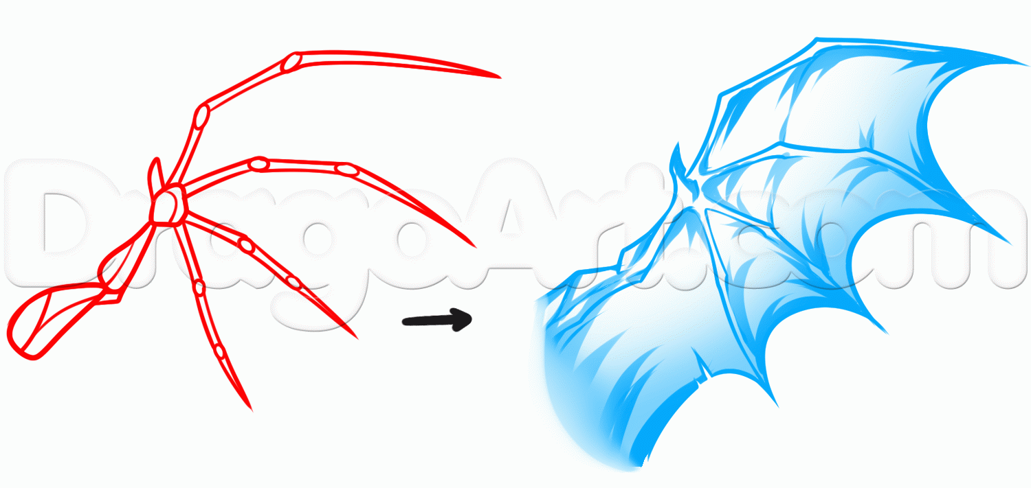 1500x711 Drawing Dragon Anatomy, Step