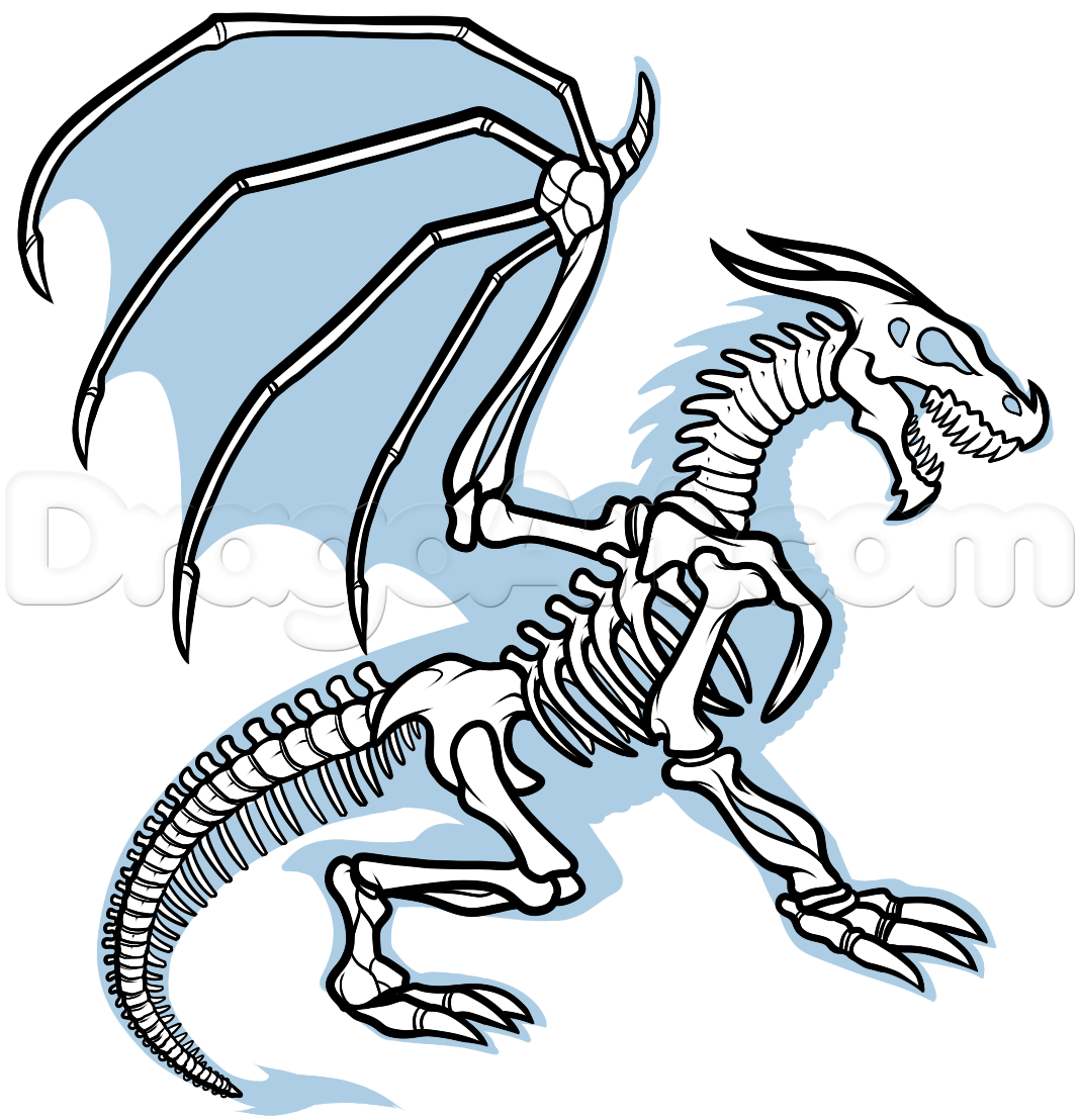 1068x1108 Drawing Dragon Anatomy, Step