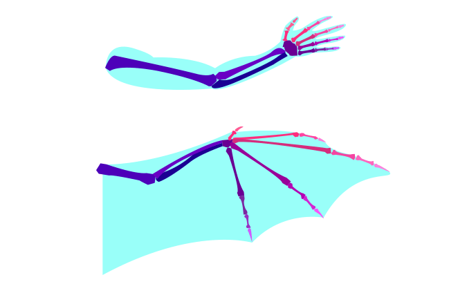 688x424 How To Draw Dragons Step
