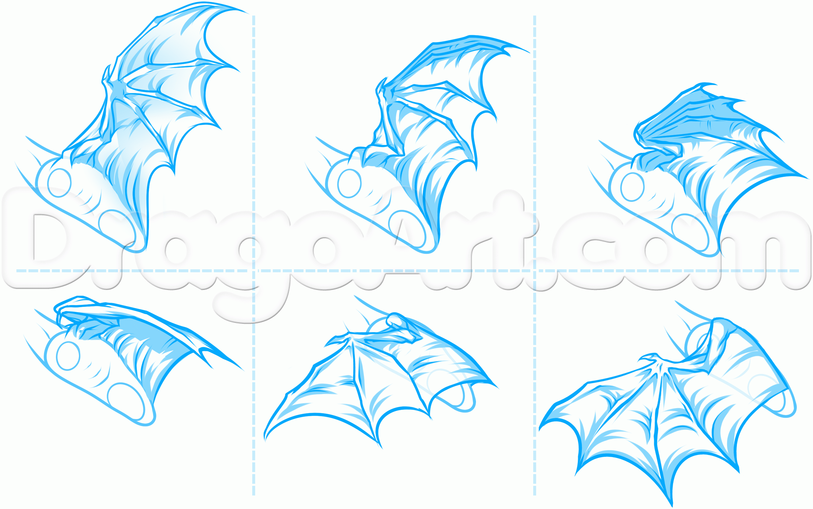 2772x1735 drawing dragon anatomy step anatomy drawings, dragon