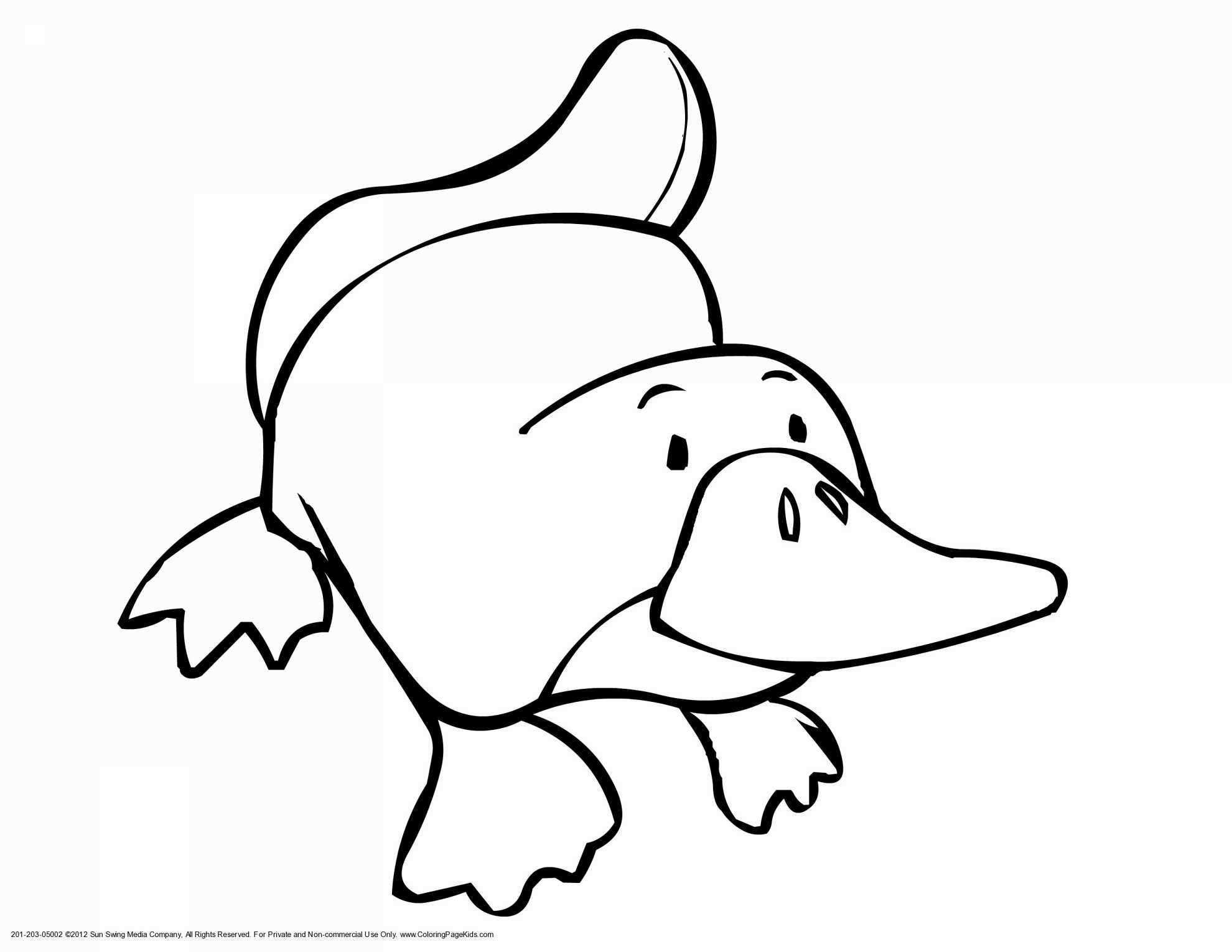 1980x1530 Vegeta Coloring Pages Unique Dragon Ball Z Kai Coloring Pages