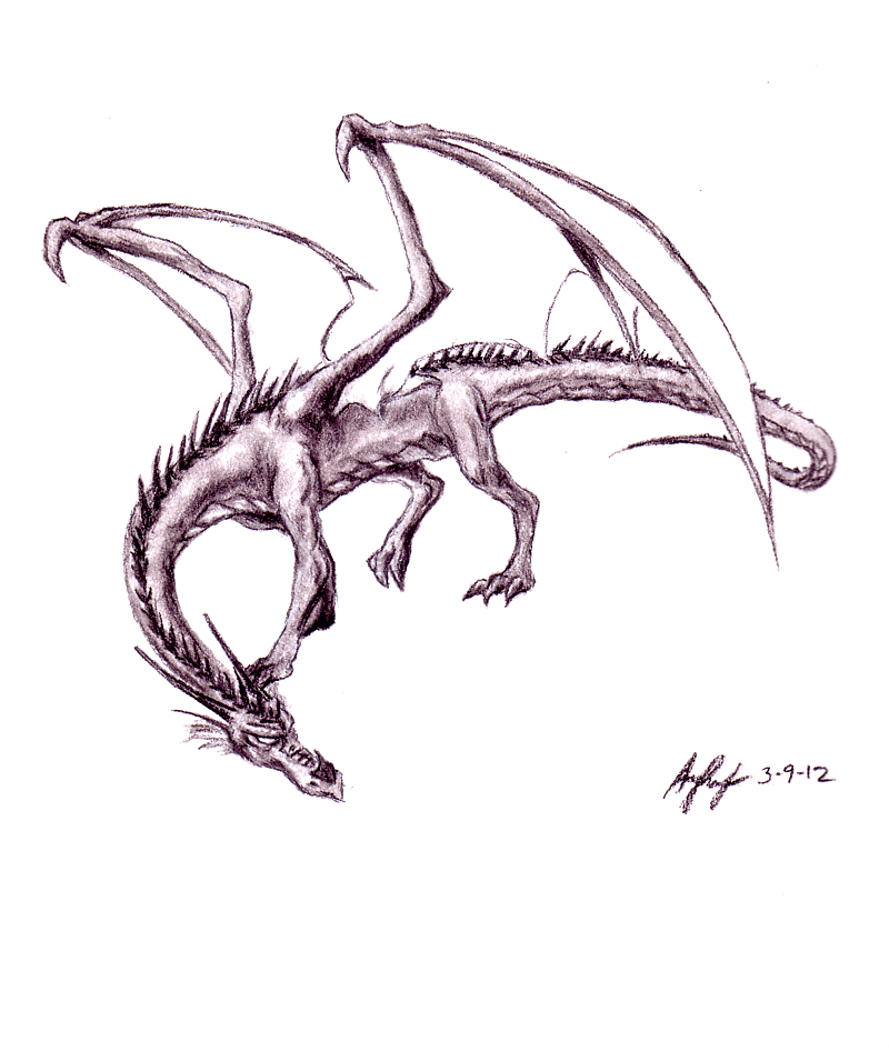 800x946 Charcoal Dragon