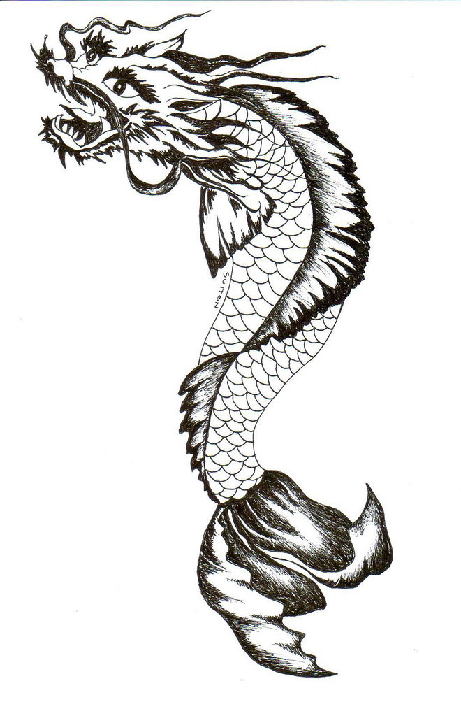 660x1024 Drawn Koi Fish Dragon